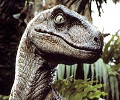 Velociraptor's Avatar